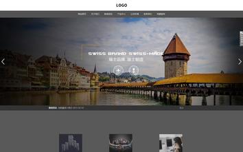 響應(yīng)式成品案例站No:803