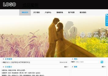 商務(wù)型成品案例站No:8553