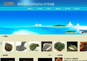 商務(wù)型成品案例站No:8784