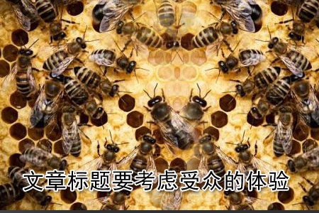 做網(wǎng)站寫(xiě)文章標(biāo)題時(shí)要考慮受眾的體驗(yàn)