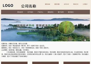 商務(wù)型成品案例站No:1500