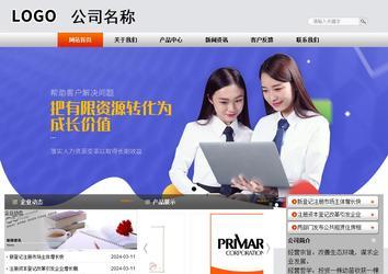 商務(wù)型成品案例站No:4887