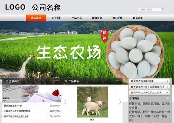 商務型成品案例站No:4887