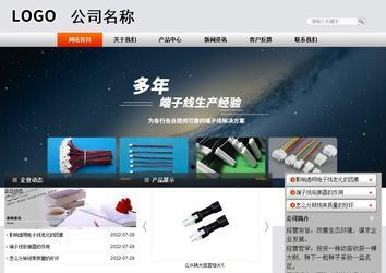 商務(wù)型成品案例站No:4887