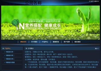 經(jīng)濟(jì)型成品案例站No:4946