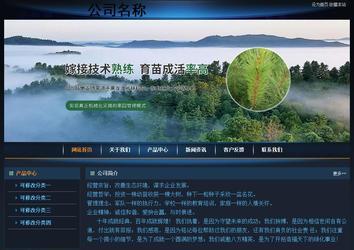 經(jīng)濟(jì)型成品案例站No:4946