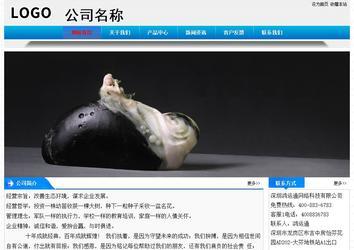 經(jīng)濟型成品案例站No:4984