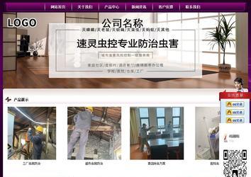 經(jīng)濟型成品案例站No:5001