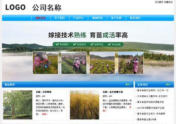 經(jīng)濟(jì)型成品案例No:7229