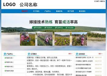 經(jīng)濟(jì)型成品案例No:7531