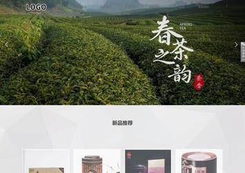 響應(yīng)式成品案例站No:800