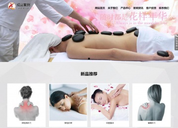 響應(yīng)式成品案例站No:800