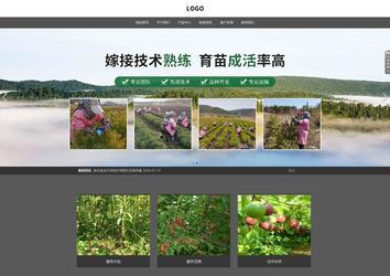 響應式成品案例站No:803