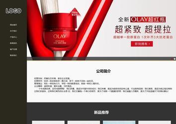 響應(yīng)式成品案例站No:807