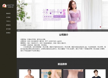 響應(yīng)式成品案例站No:807