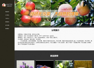 響應式成品案例站No:807