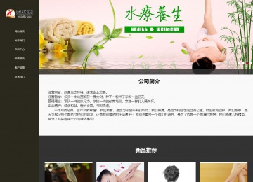 響應(yīng)式成品案例站No:807