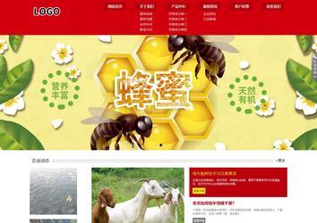 響應式成品案例站No:808