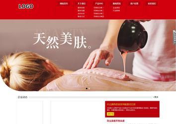 響應(yīng)式成品案例站No:808