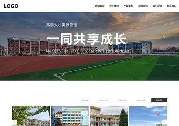 響應(yīng)式成品案例站No:809