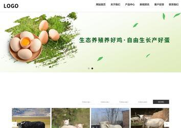 響應式成品案例站No:809