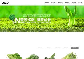 響應(yīng)式成品案例站No:809