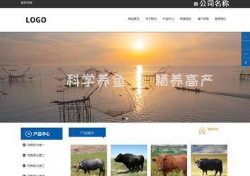 響應式成品案例站No:812