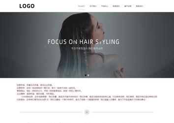 響應(yīng)式成品案例站No:813