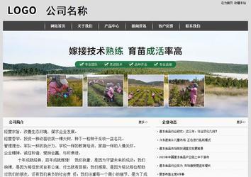 經(jīng)濟(jì)型成品案例站No:8137