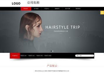 響應(yīng)式成品案例站No:815