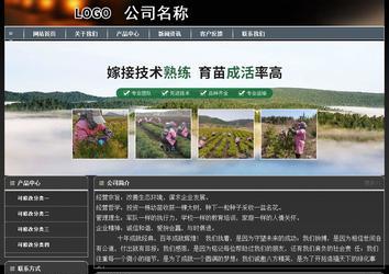 經(jīng)濟型成品案例站No:8207