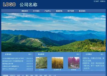 經(jīng)濟型成品案例站No:8245