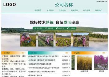 經(jīng)濟型成品案例站No:8247