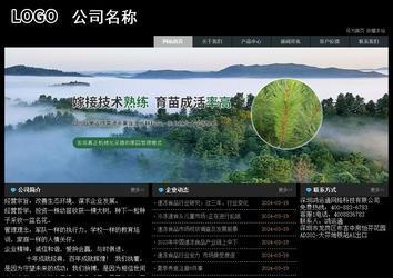 經(jīng)濟(jì)型成品案例站No:8248