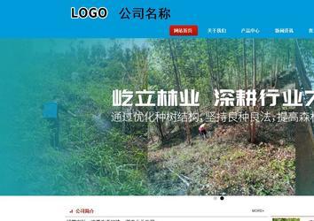 商務(wù)型成品案例站No:8251