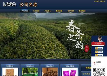 商務(wù)型成品案例站No:8278