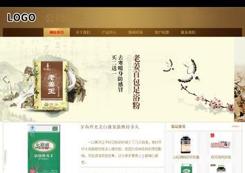 商務型成品案例站No:8284