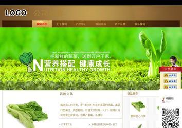 商務(wù)型成品案例站No:8284