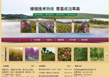 經(jīng)濟型成品案例站No:8353