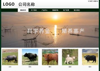 經(jīng)濟(jì)型成品案例No:8398