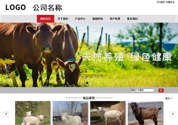 商務(wù)型成品案例No:8507