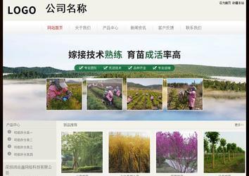 經(jīng)濟(jì)型成品案例No:8520