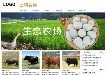 經(jīng)濟(jì)型成品案例站No:8535