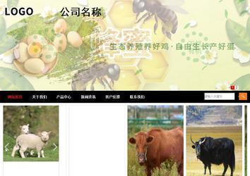 商務(wù)型成品案例站No:8552