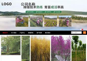 商務(wù)型成品案例站No:8552