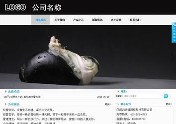 商務型成品案例站No:8553