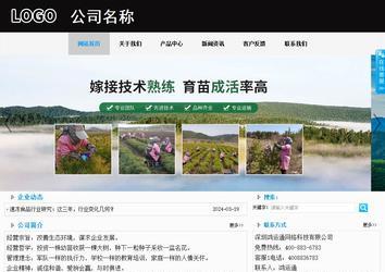 商務(wù)型成品案例站No:8553