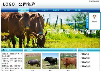 經濟型成品案例站No:8623