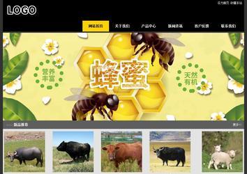 經(jīng)濟(jì)型成品案例站No:8653