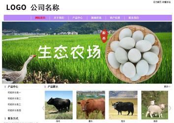 經(jīng)濟(jì)型成品案例站No:8703